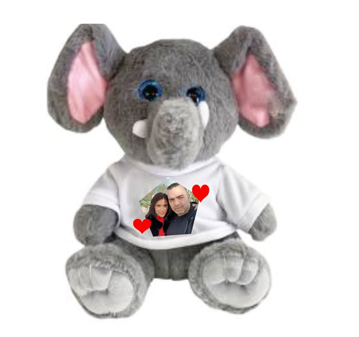 הדפסה על דובי פיל פילון מתוק