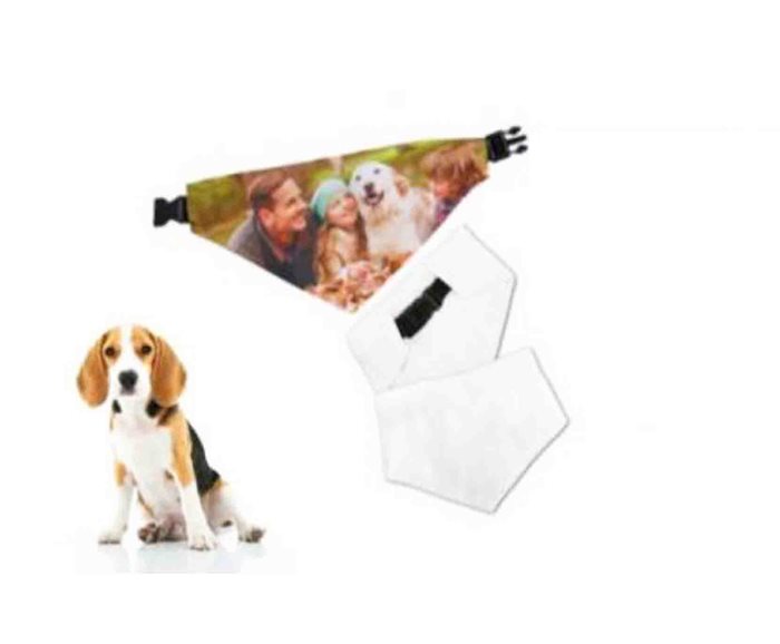 הדפסה על קולר לכלב בשילוב בנדנה