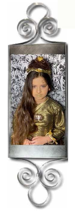 מגן פרזול יוקרתי מפרזול