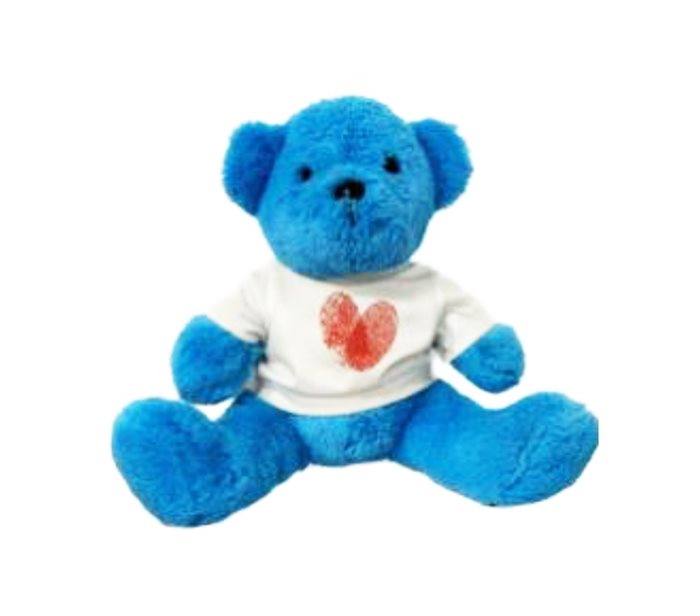 הדפסה על דובי תכלת