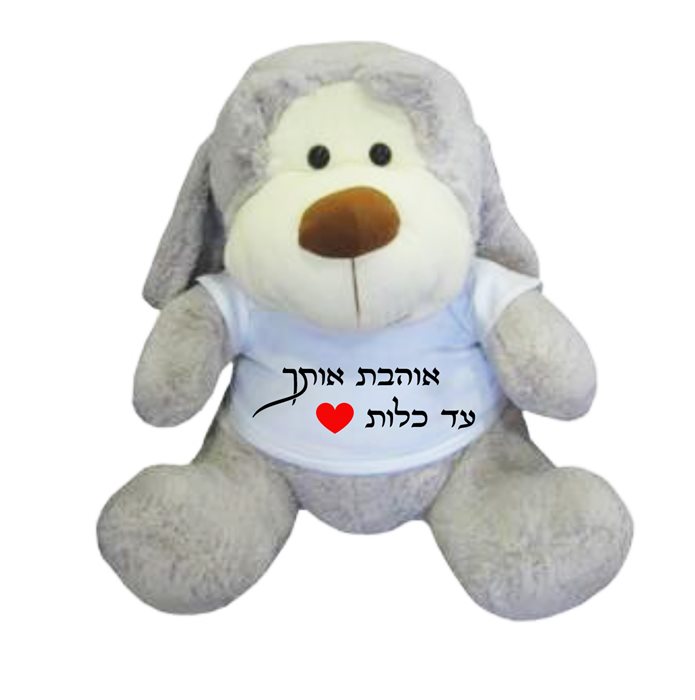 הדפסה על דובי כלב