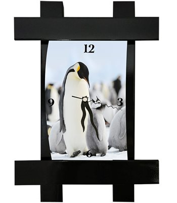 הדפסה על שעון סולמות מהודר גדול שחור או לבן