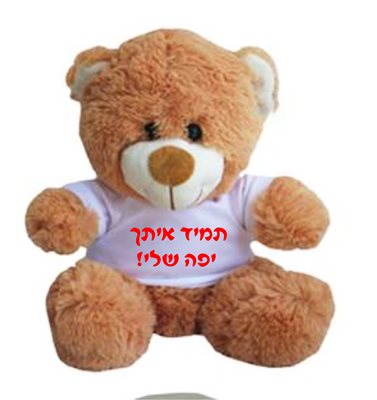 הדפסה על דובי חום יושב